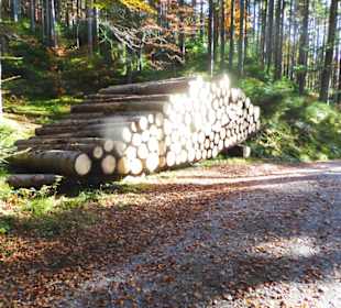 Wanderweg Bad Wiesseer Höhenstraße