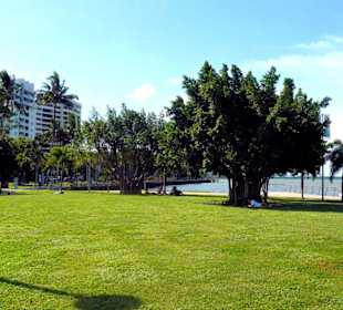 Cairns