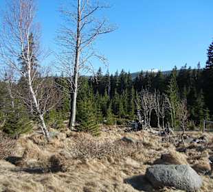 Karkonoski Park Narodowy