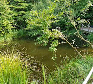 Kleine Teichanlagen