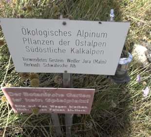 Alpinum