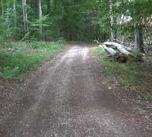 Tour entlang der Traifelbergfelsen