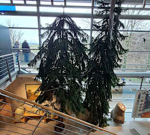 Geoskop in Thallichtenberg