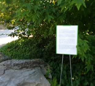 Botanischer Garten 