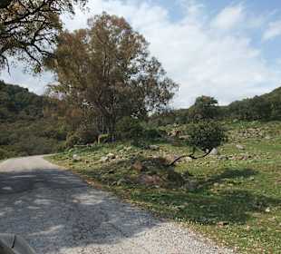 Sierra de Grazalemna
