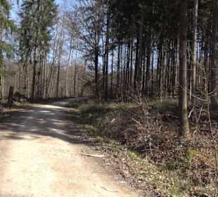 Premiumwanderweg "hochgeblickt"