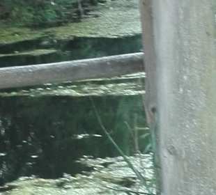 Wandern Berg im Drautal