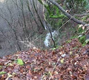 Gustav-Jakob Höhle Grabenstetten