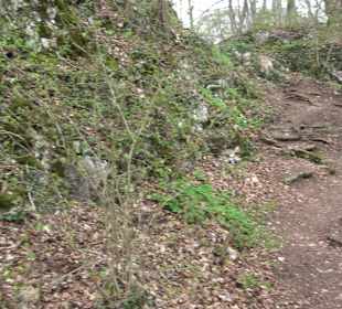 Wanderung rund um das Rusenschloss Gerhausen