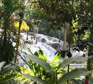 Dunns River Falls