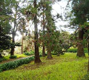 Palheiro Gardens