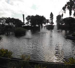 Blick auf den Teich.