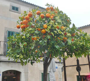 Bei einem Spaziergang durch die Altstadt von Sineu