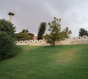 Порт Авентура Салоу