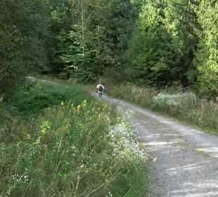 Wanderung Kirnberg-Runde Bebenhausen