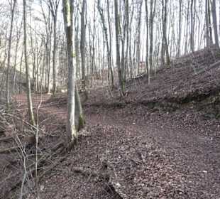 Premiumwanderweg Hohenwittlingensteig