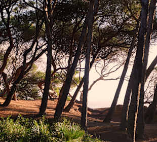 Wandern Cala Ratjada