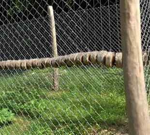 Phäno-Pfad Aichstetten