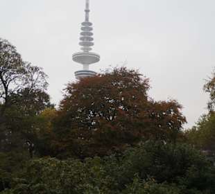 Parkanlage Planten un Blomen