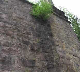 Burgruine Sterneck