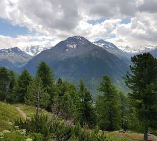 Ausblick Unterer Schafberg