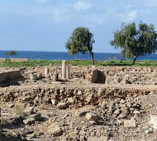 Ausgrabung in Pafos 