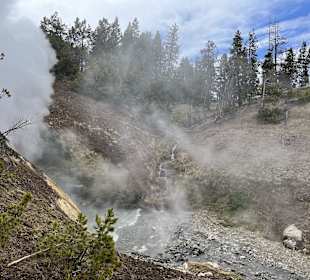 Yellowstone Nationalpark