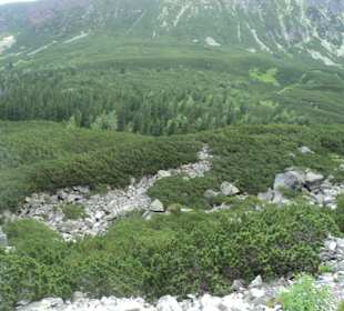 Tatrzański Park Narodowy