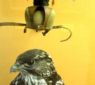 Barocke Jagd im Pavillon Hildesheim