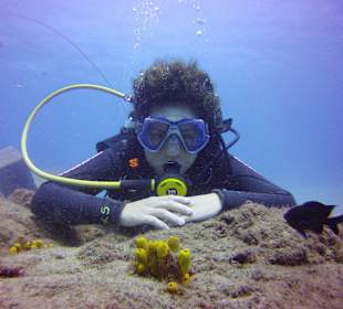 Inmersión en el veril de fariones