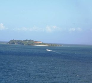 Blick auf die Insel vom Schiff her