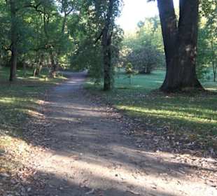 Botanischer Garten