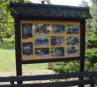 Zoo