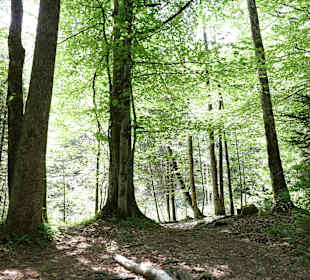 Wandern Weissbad