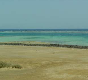 Blick vom Besucherzentrum aufs Meer