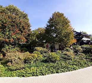 Chinesisches Teehaus im Luisenpark