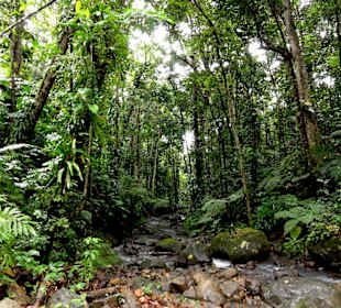Impressionen aus den Jardins de Valombreuse