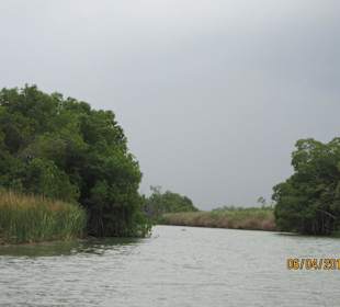 Black River