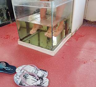 Stadtrundgang Hurghada