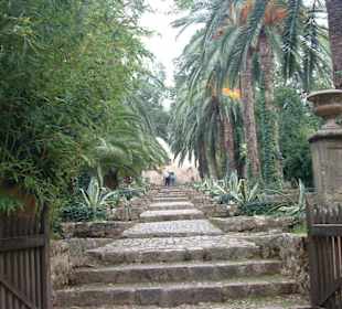 Jardines d`Alfabia