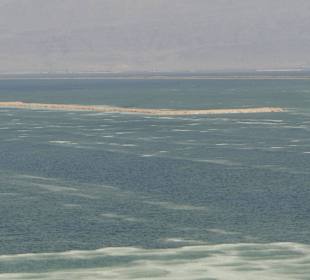 Już widać oleistość