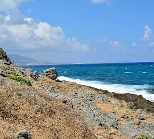 Ein paar Inspirationen von unserer Strandwanderung