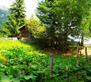 Entlang am Bauernhof