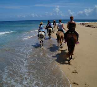 Reiten am Sandstrand