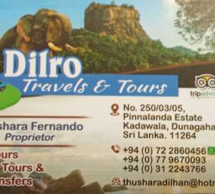 Dilro tours