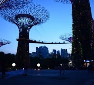 Gardens by the Bay