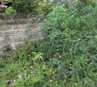 Erlebnispark Tripsdrill