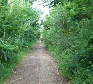 Naturpark S'Albufera