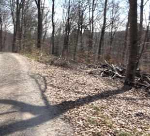 Geologischer Lehrpfad Kirnbachtal