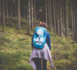 Wandern Geisfeld